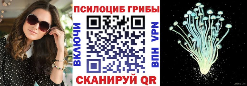 блэк спрут маркетплейс  Надым  Галлюциногенные грибы ЛСД 